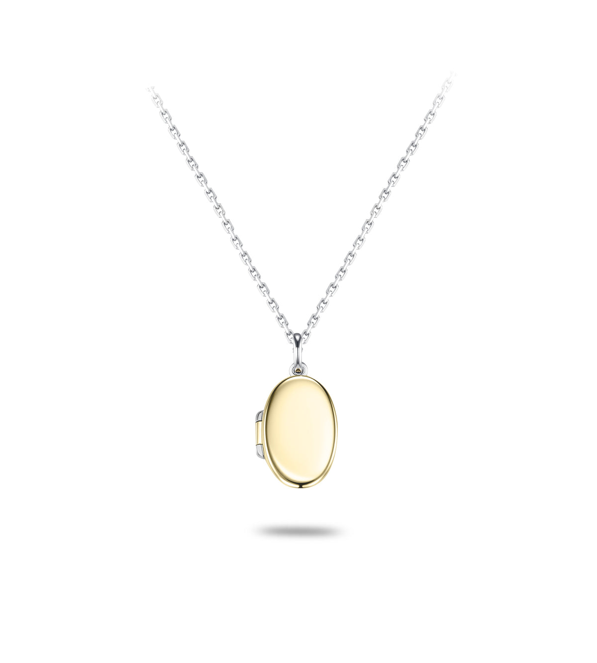 Two tone 9ct Gold and Silver Locket Necklace