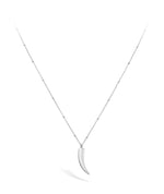 Silver Horn of Live Necklace