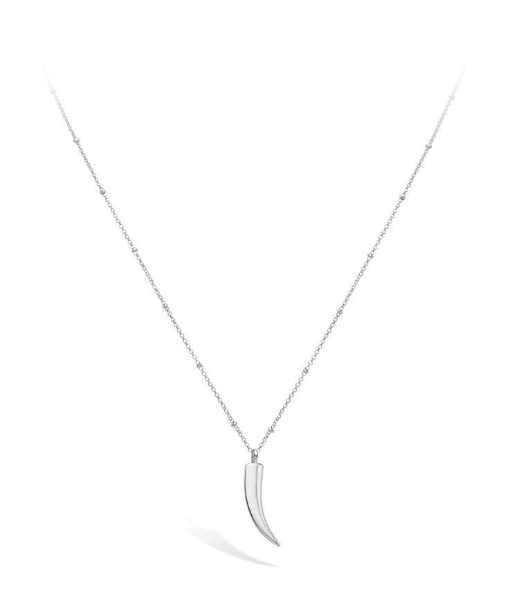 Silver Horn of Live Necklace