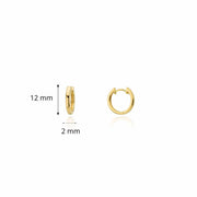 9ct Gold Mini Hoop Earrings