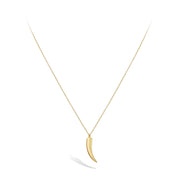 9ct Gold Horn of Live Necklace